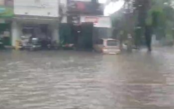 Ari Indra David, S.H.,M.H Caleg DPRD Bogor Angkat Bicara  Terkait Banjir Dan Pohon Tumbang di Citra Indah
