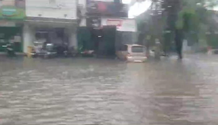 Ari Indra David, S.H.,M.H Caleg DPRD Bogor Angkat Bicara  Terkait Banjir Dan Pohon Tumbang di Citra Indah