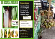 Es Kelapa “MIRASA PUTRA TASIK”Dengan Berbagai Varian Rasa Terima Pesanan No Wa 0877 2473 8951