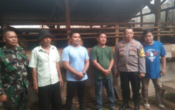 Peternakan Domba Milik Agus Raden Di Sukasari Mendapat Apresiasi Dari Muspika Purwasari