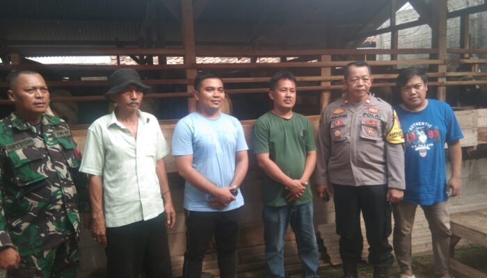 Peternakan Domba Milik Agus Raden Di Sukasari Mendapat Apresiasi Dari Muspika Purwasari