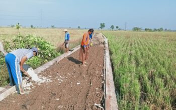 Kepala Desa Manggung Jaya Karawang Didi Sukardi Siap Sukseskan Program Pemerintah