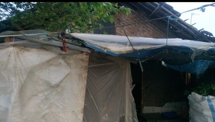 Bp Tarmin 67 Tahun Dari Desa Kutapohaci Ciampel Karawang Belum Tersentuh Bantuan Dari Pemerintah