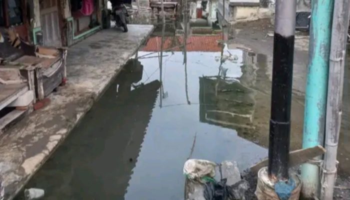Banjir Rob di desa Randusanga Wetan Brebes Menerjang Rumah Warga Dengan Ketinggian Air mencapai 45 Cm