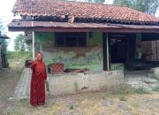 Di jual Tanah di RT 03 RW 03 Desa Bulak Amba Brebes Hub Bp Yayat No HP 0895 3884 86559/ 0895 6154 09922