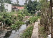 Saluran Irigasi Tak Berfungsi Petani di Desa Jatibaru Karawang Meradang