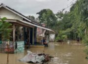 Ratusan Rumah Warga Di Beberapa Wilayah Desa Kiara Karawang Terendam Banjir