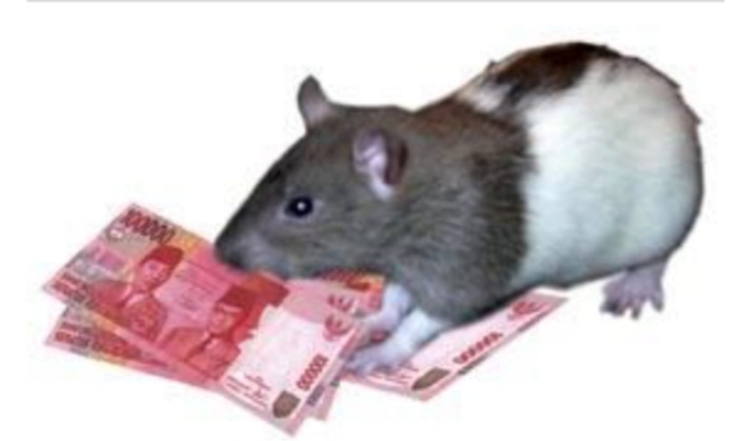 Diduga Dana BOP PKBM Baetul Rahman Bandung Barat Dijadikan Kepentingan Pribadi 