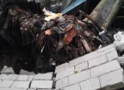 Akibat Hujan Deras Dan Angin Kencang Rumah Warga Tertimpa Pohon Tumbang