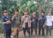 LMDH Mekarjaya Kutamekar Bersama KJPP Dan Petugas Perhutani Lakukan Penghitungan Tegakan Di Areal KULIN KK