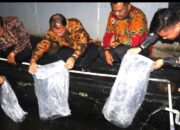 *Tebar 3.500 Benih Ikan Lele, Lapas Sukabumi Berkomitmen Dukung Ketahanan Pangan*