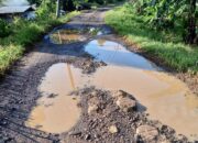 Infrastruktur Jalan di dusun Sukamulya desa Mulyasejati Karawang kondisinya memprihatinkan,pemerintah tutup mata