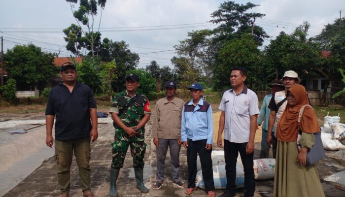 Pemerintah desa Parakan Karawang Apresiasi perum Bulog terima harga gabah Rp 6.500 per Kg