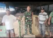 Para Petani dari Subang Apresiasi perum Bulog terima harga gabah Rp 6.500 per Kg