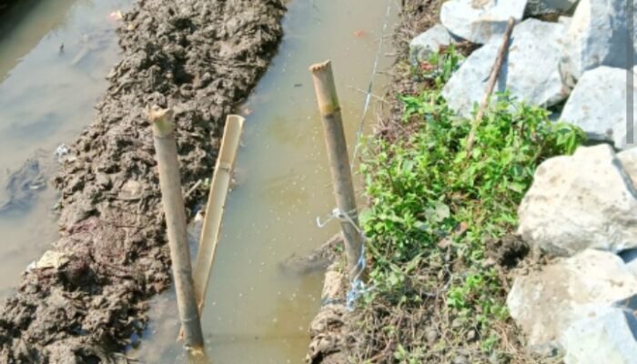 LSM GMPI Sorot Pekerjaan CV KEMBAR JAYA Dan Cv. BUDI Pembangunan Saluran Drainase Di Desa Srikamulyan Dan Pisang Sambo.