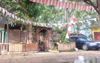 Lima Tahun ke Depan: Menakar Arah Ekonomi Indonesia di Tengah Harapan dan Tantangan