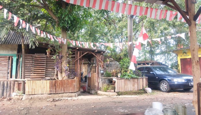 Lima Tahun ke Depan: Menakar Arah Ekonomi Indonesia di Tengah Harapan dan Tantangan