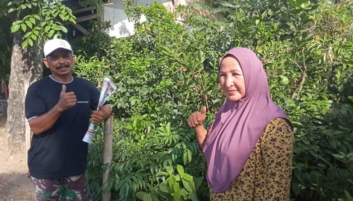 Dahlan Dan floris di Telagasari Karawang jual Bermacam Bibit Tanaman Yang Sudah Berbuah