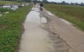 Jalan desa Sukatani Karawang Kondisinya rusak parah,pemerintah tutup mata