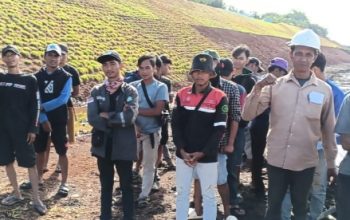 PT Mitra Karya Makmur Karawang Menanam Rumput Gajah di Desa Mulyasejati Karawang