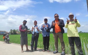Telah Hadir di Karawang Pupuk Organik Cair Pintara Untuk Bidang Pertanian