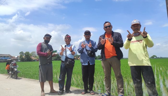Telah Hadir di Karawang Pupuk Organik Cair Pintara Untuk Bidang Pertanian