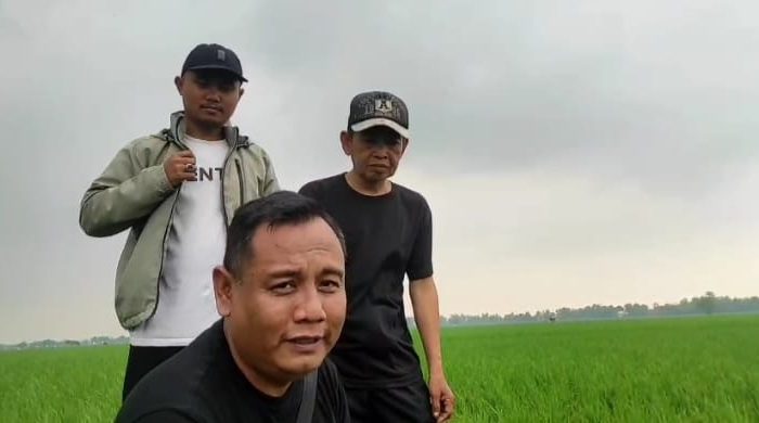 Pupuk Organik Cair Pintara Dengan Teknologi Nano Mampu Memperbaiki PH Tanah Yang Asam