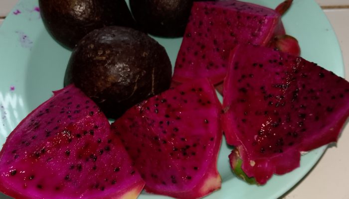 Manfaat mengkonsumsi Buah Alpukat dan Buah Naga Bersamaan Untuk Kesehatan