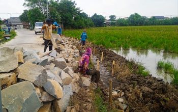 Proyek RJIT Dusun Kedung di Kerjakan swakelola Kelompok Tani dan warga setempat .