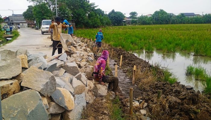 Proyek RJIT Dusun Kedung di Kerjakan swakelola Kelompok Tani dan warga setempat .