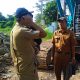 Proyek Jembatan Kalikalapa Desa Wadas yang Sudah Lama Putus baru dilaksanakan oleh Kontraktor PT.GBN Karawang,