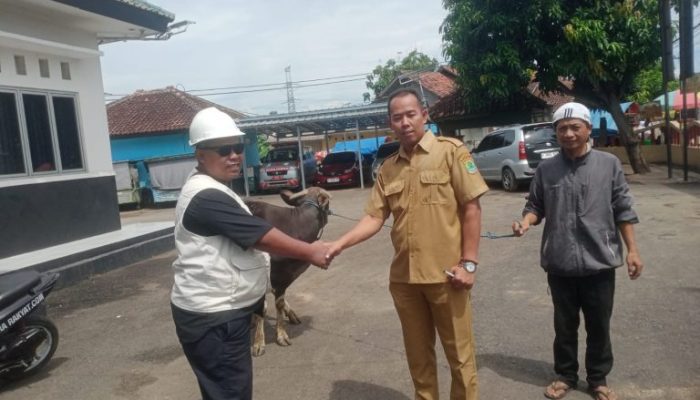 PT Jui Shin Indonesia Bagikan 31 Ekor Hewan Kurban pada Idul Adha 1447 H