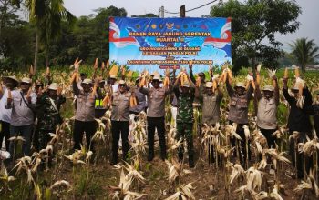 Polri melalui Satlantas Polres Karawang Ikuti Panen Raya Jagung Guna Sukseskan Swasembada Pangan