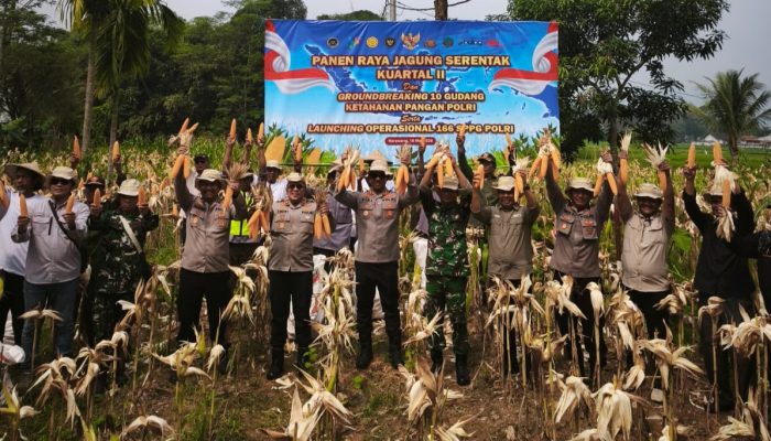 Polri melalui Satlantas Polres Karawang Ikuti Panen Raya Jagung Guna Sukseskan Swasembada Pangan