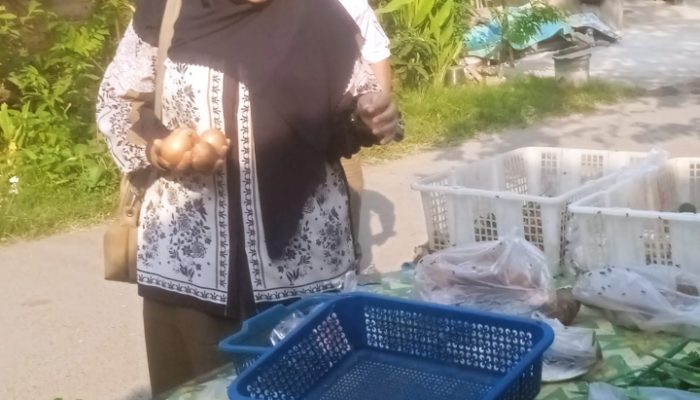 Kepala Desa Sindang Mulya Kunjungi Kegiatan Produksi UMKM di Perum Sindang Asri Bekasi